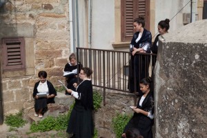 Pettini fini (2)